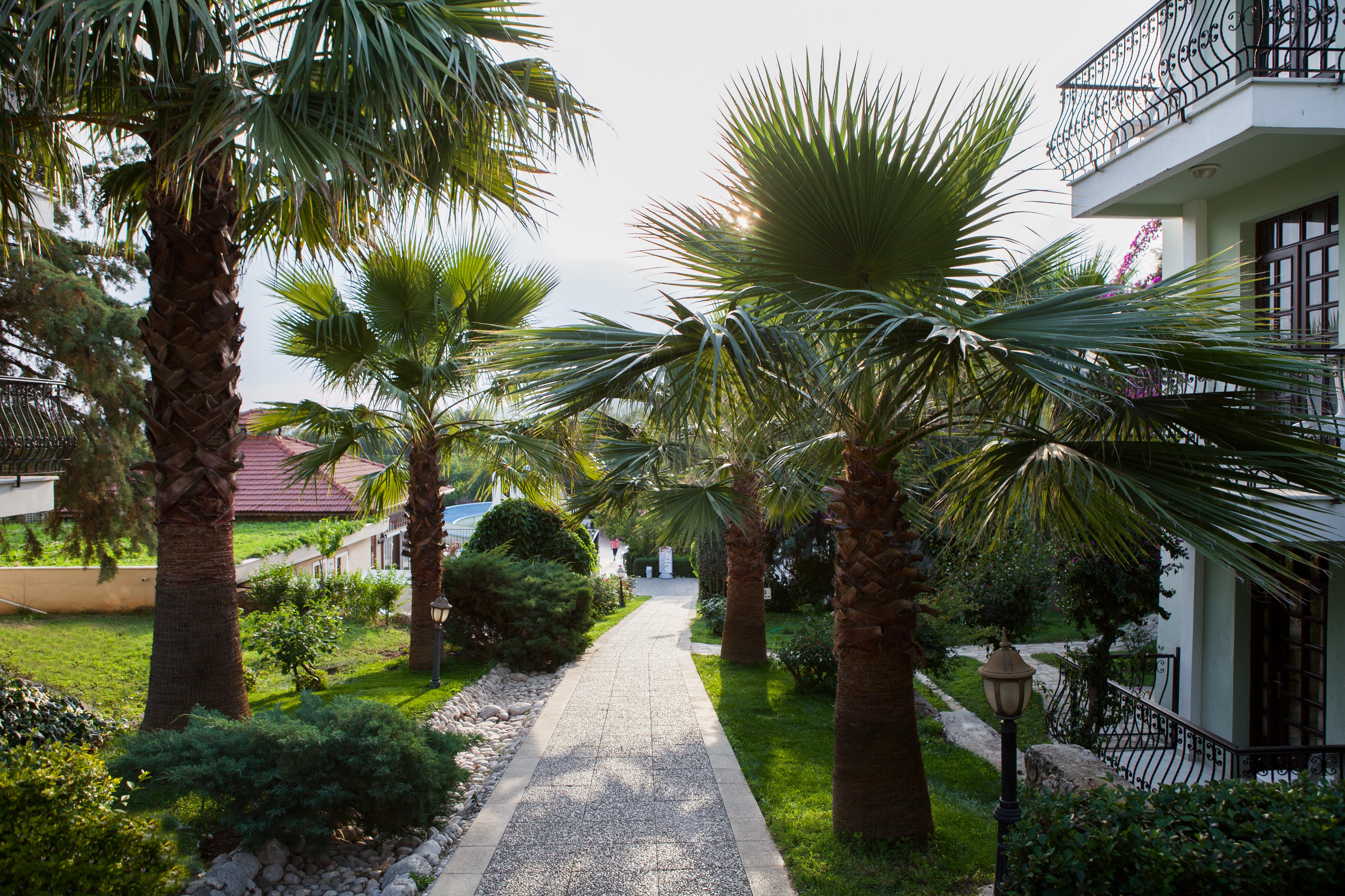 Hotel Greenland Oludeniz Exterior photo